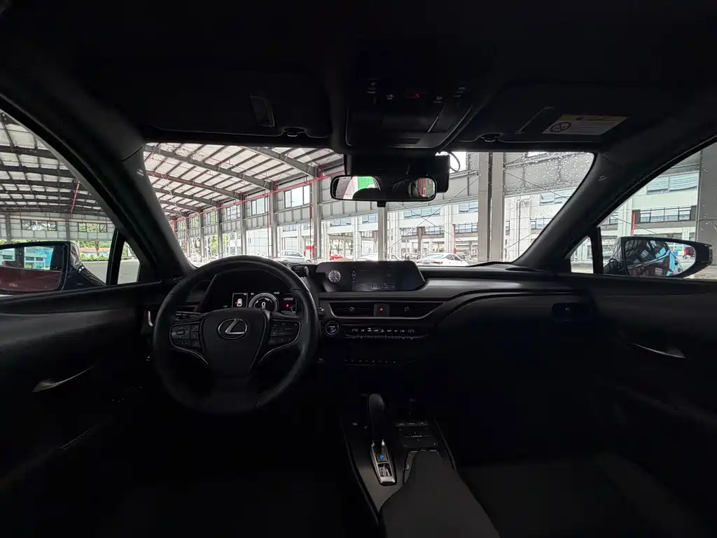 Lexus UX New Energy 2020 — фото 6