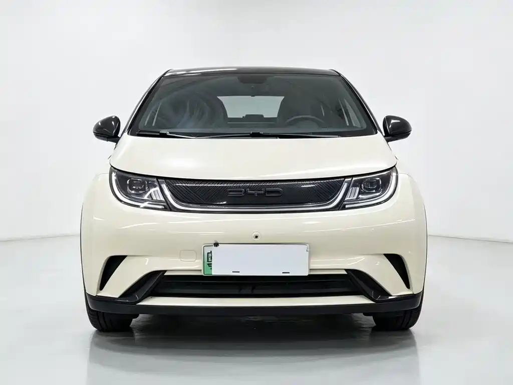 BYD Dolphin 2022