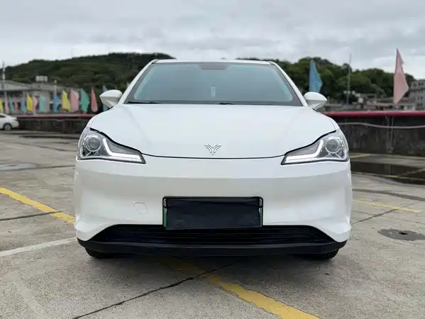 Neta V 2021