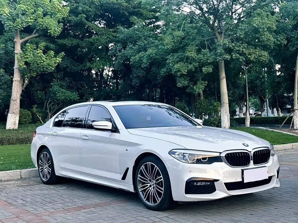 BMW 5 Series 2019 — фото 3
