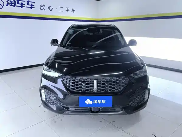 Wey VV6 2019