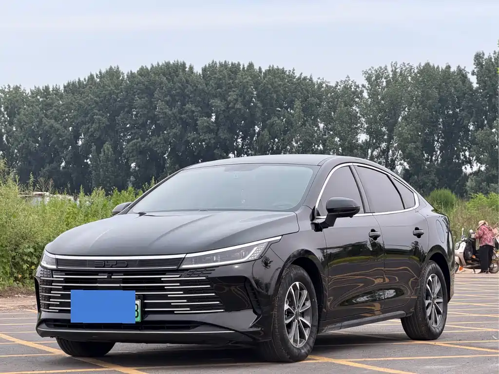 BYD Destroyer 05 2024 — фото 1