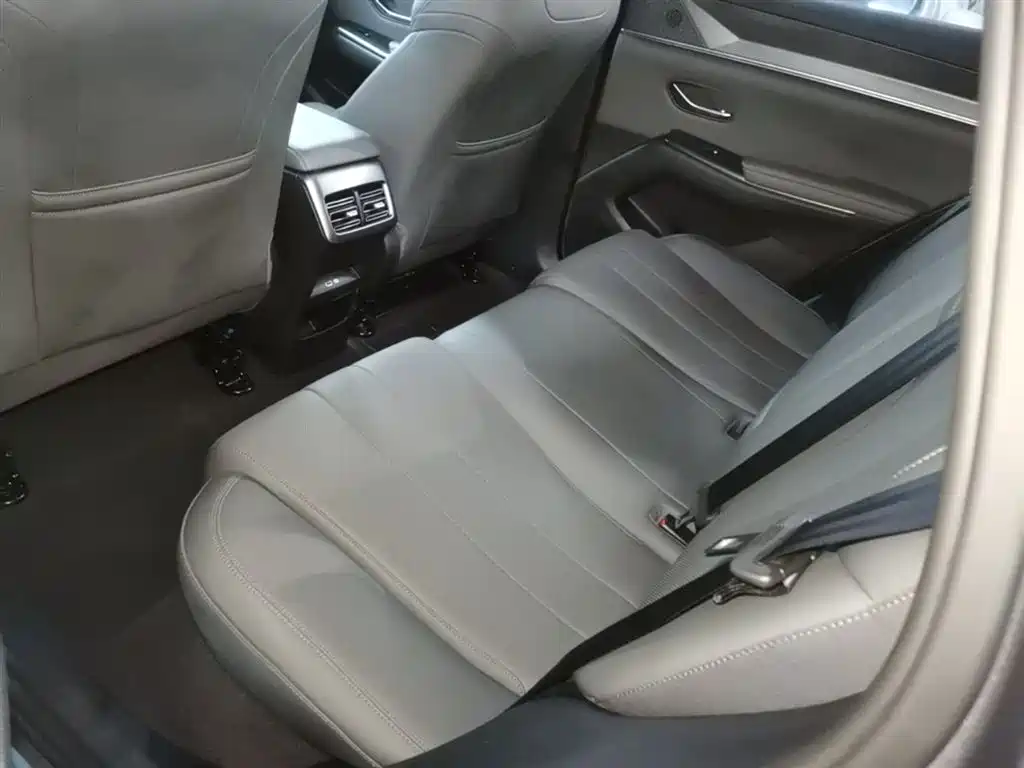 BYD Pro New Energy 2025 — фото 17