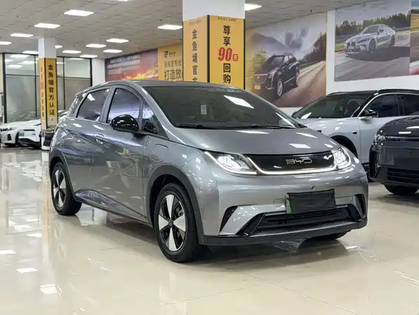 BYD Dolphin 2024