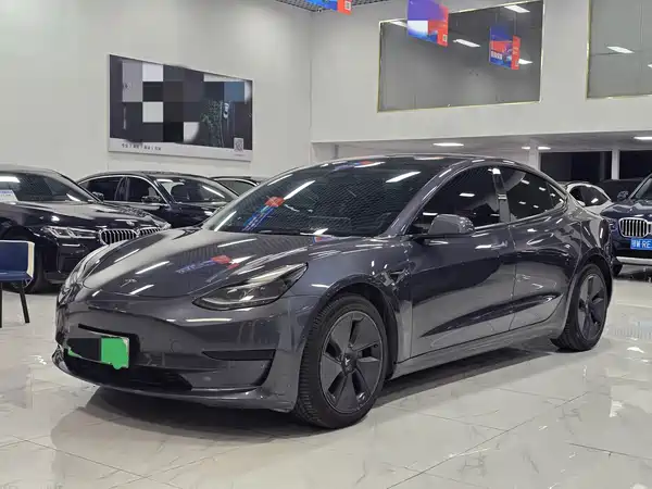 Tesla Model 3 2021
