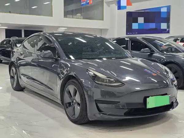 Tesla Model 3 2021