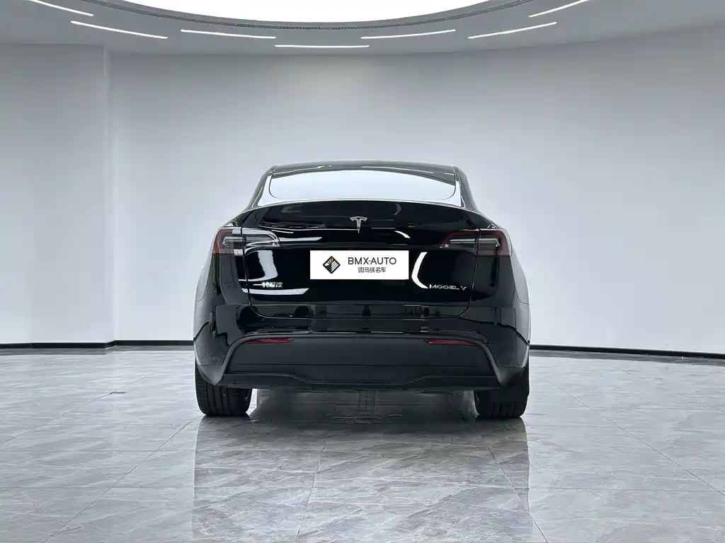 Tesla Model Y 2023 — фото 6