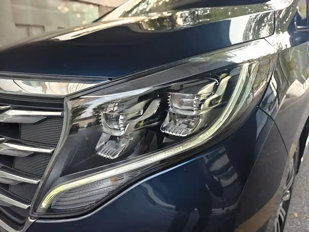 GAC Motor Trumpchi M8 2019 — фото 21