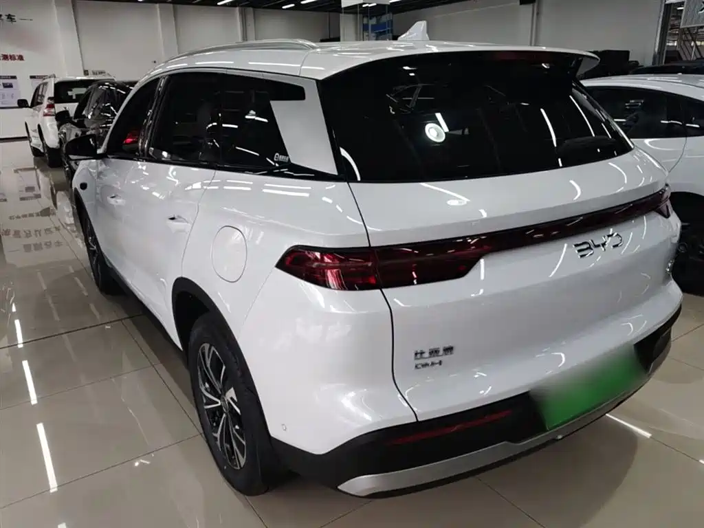 BYD Pro New Energy 2025 — фото 5