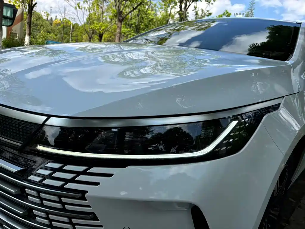BYD Destroyer 05 2023 — фото 26
