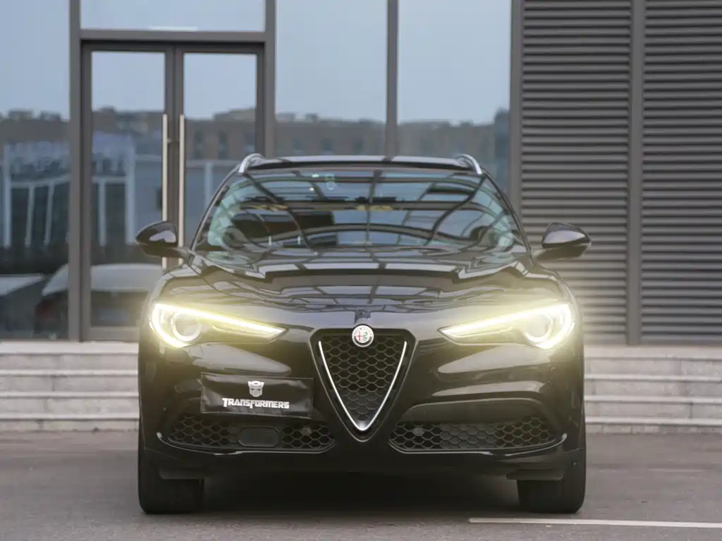Alfa Romeo Stelvio 2019 — фото 13