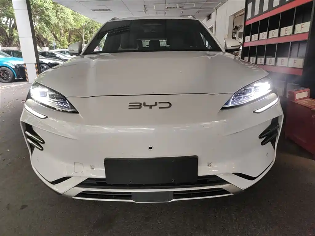 BYD PLUS New Energy 2025 — фото 3