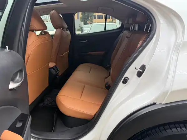 Lexus UX 2020