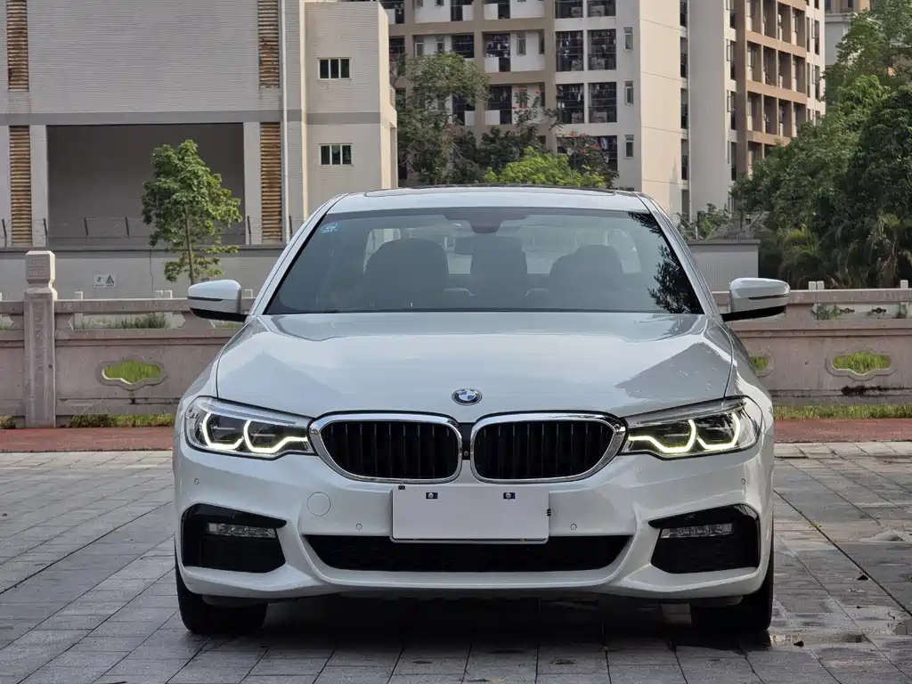 BMW 5 Series 2017 — фото 2