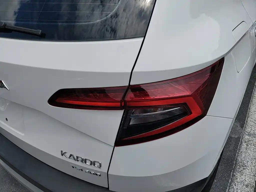 Skoda Korok 2019 — фото 8