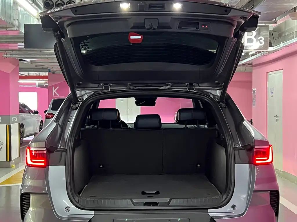 BYD Song PLUS New Energy 2023 — фото 8