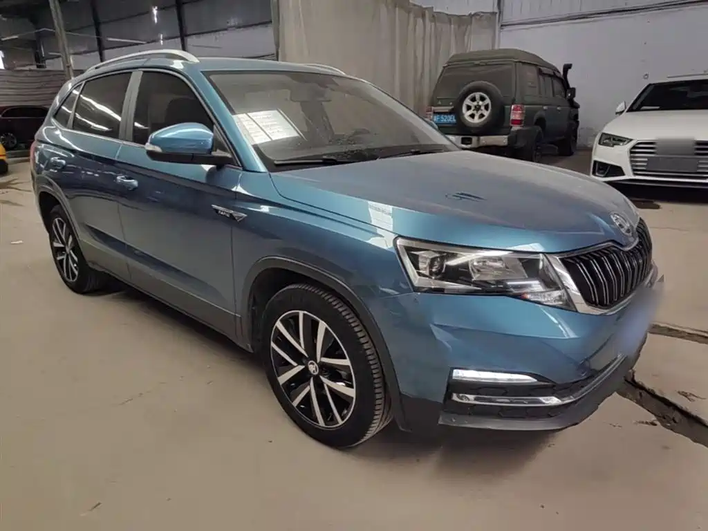Skoda Kamiq 2020 — фото 22