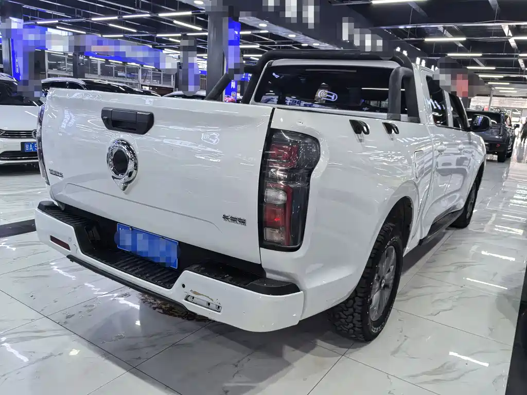 Great Wall Pao 2023