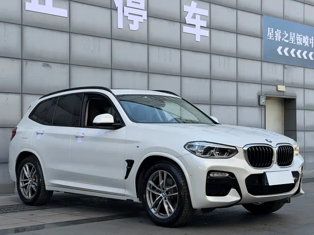BMW X3 2019 — фото 3