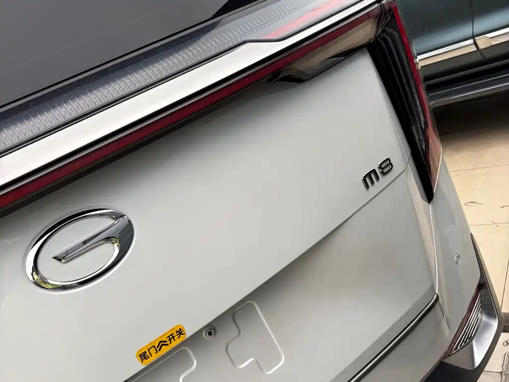 GAC Motor Trumpchi M8 2023 — фото 12