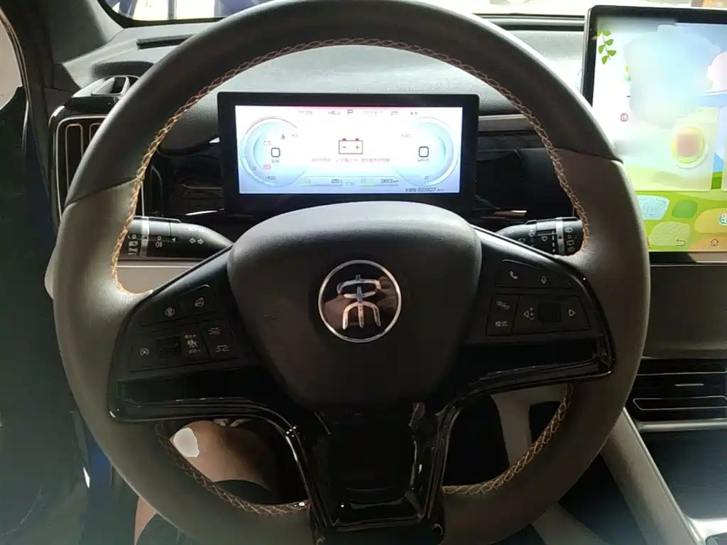 BYD Pro New Energy 2022 — фото 10