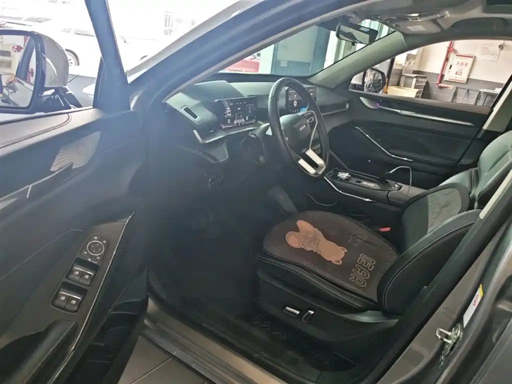 Haval H6 New Energy 2023 — фото 16