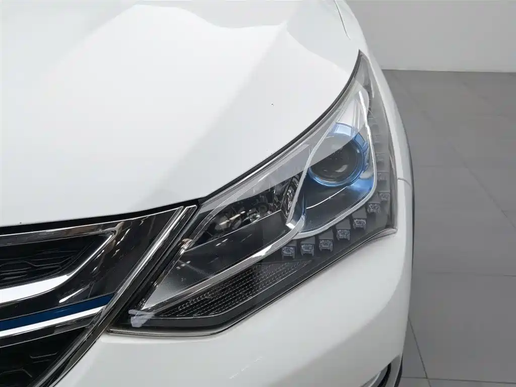 BYD New Energy 2018