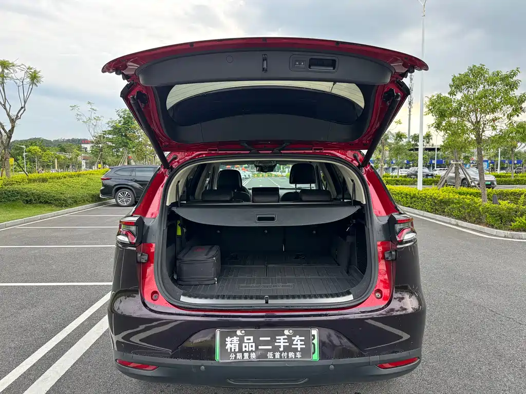 BYD Tang New Energy 2019 — фото 29