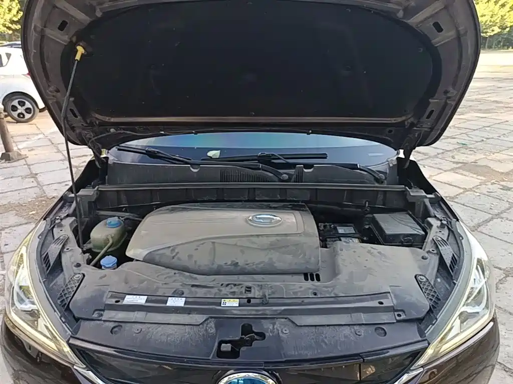Aion Trumpchi GE3 2019 — фото 20