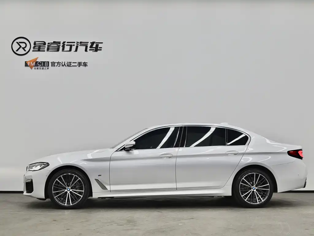 BMW 5 Series 2021