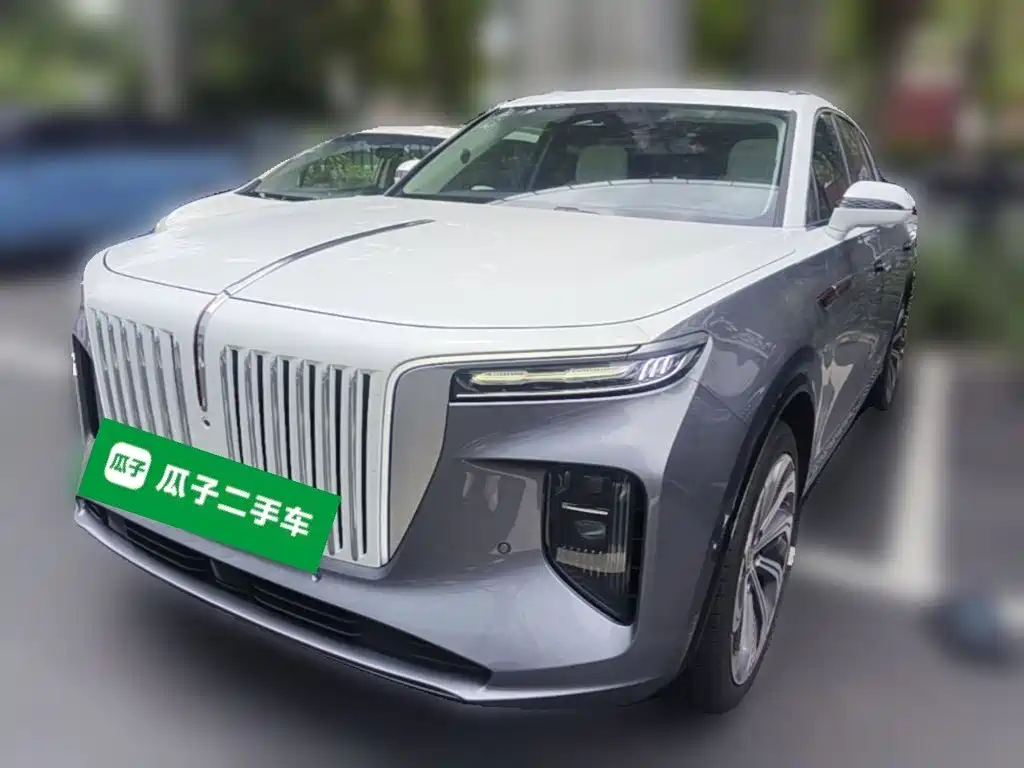 Hongqi E-HS9 2021