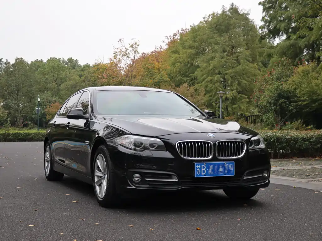 BMW 5 Series 2015 — фото 25