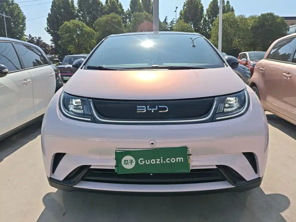 BYD Dolphin 2024