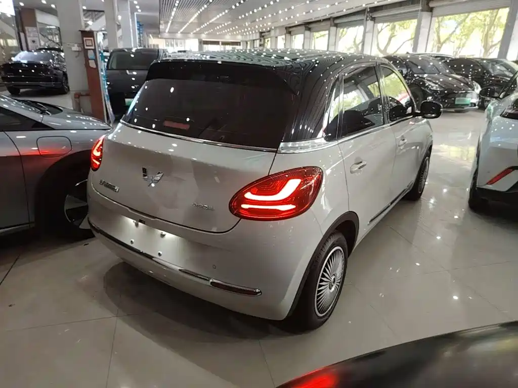 Wuling Bingo 2024