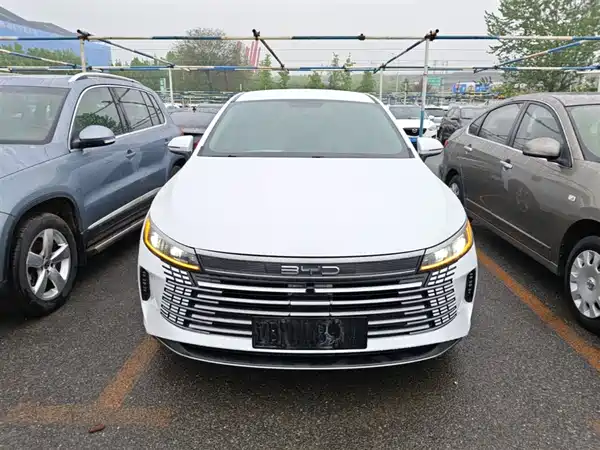 BYD Destroyer 05 2024