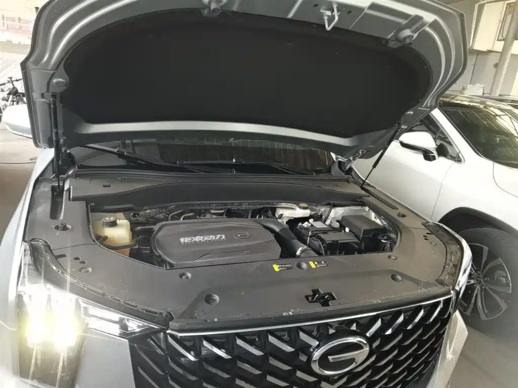 GAC Motor Trumpchi GS8 2023 — фото 20