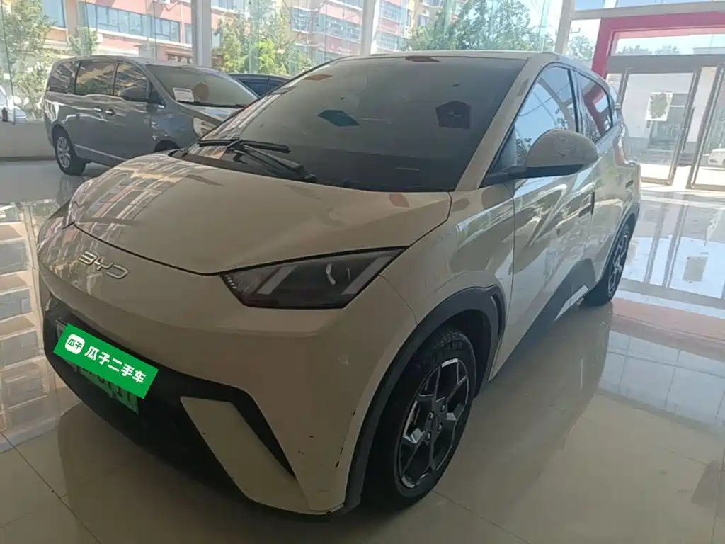BYD Seagull 2024