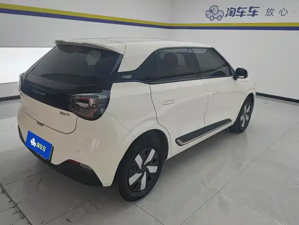 Dongfeng Nano 01 2025