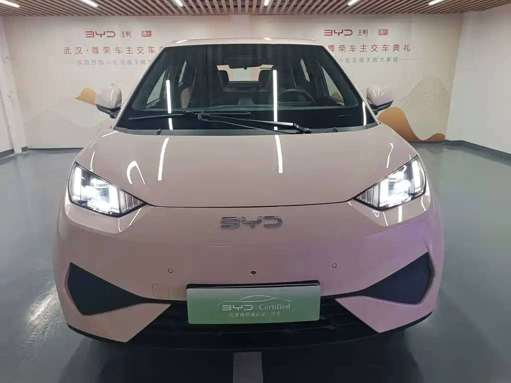 BYD Seagull 2025