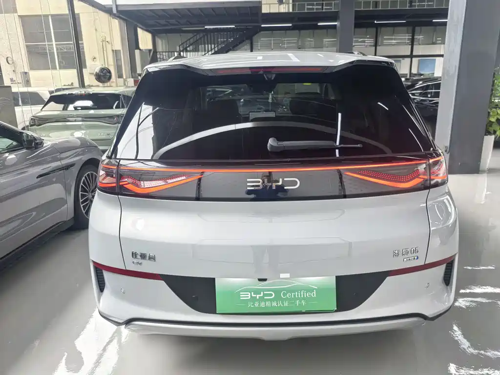 BYD Sealion 05 EV 2025 — фото 18
