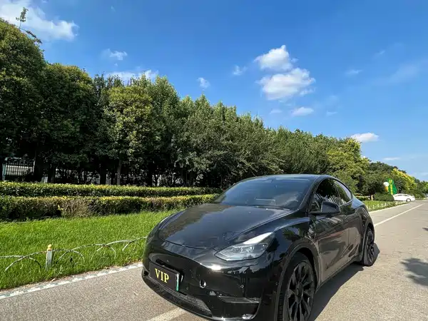 Tesla Model Y 2021