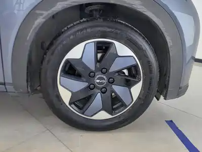 BYD Dolphin 2026