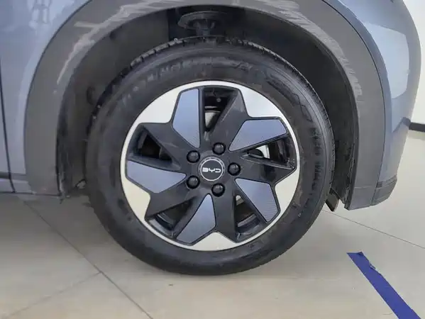BYD Dolphin 2026