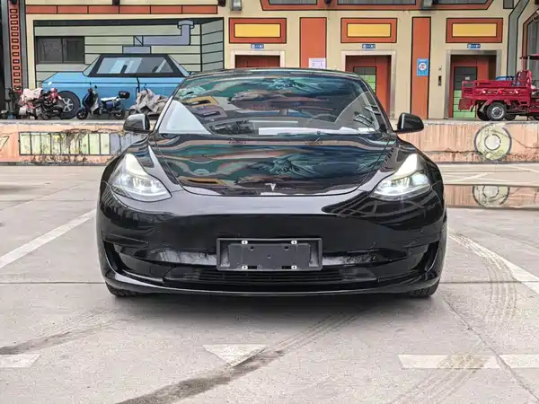Tesla Model 3 2021