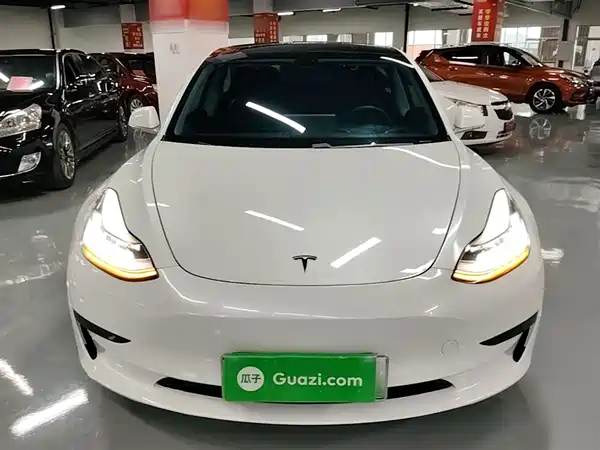 Tesla Model 3 2019