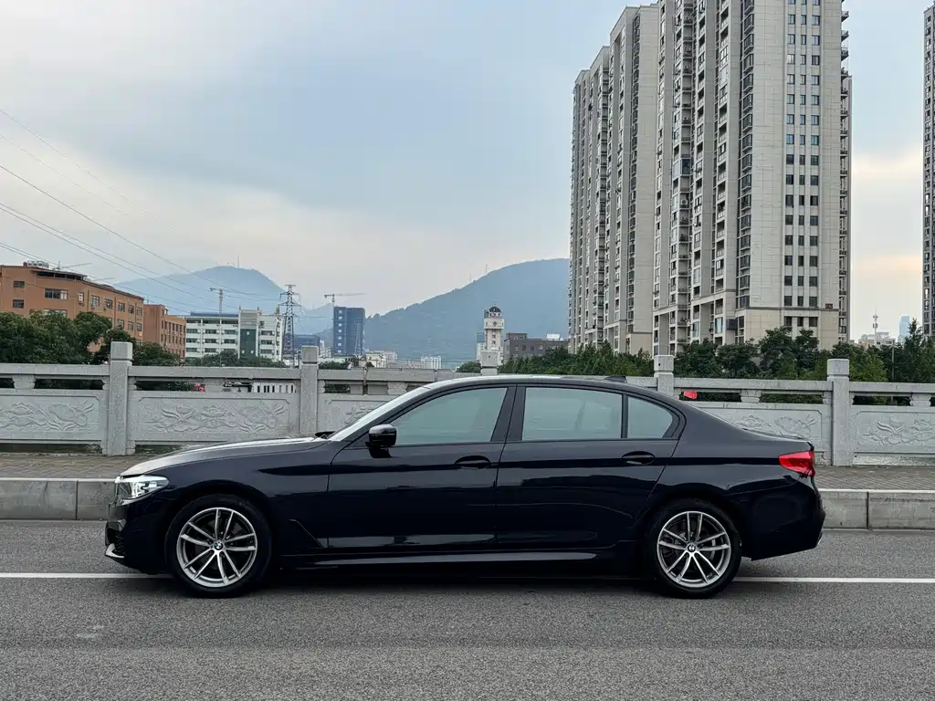 BMW 5 Series 2019