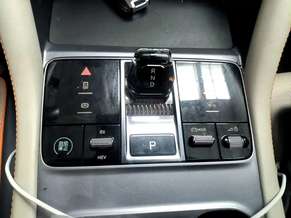 BYD Song PLUS New Energy 2024 — фото 14