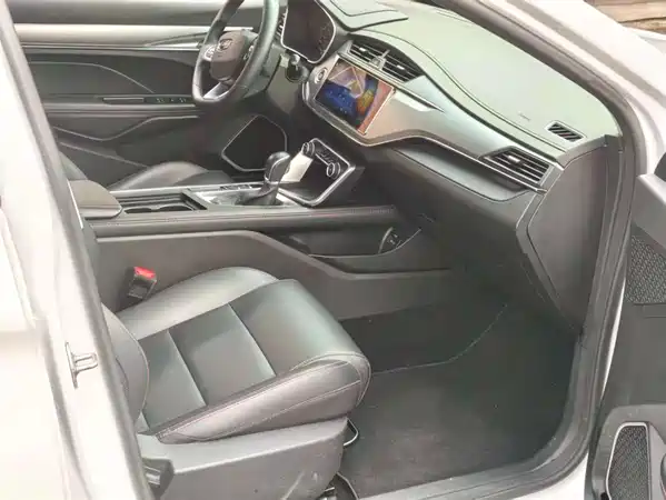 Geely Binrui 2020