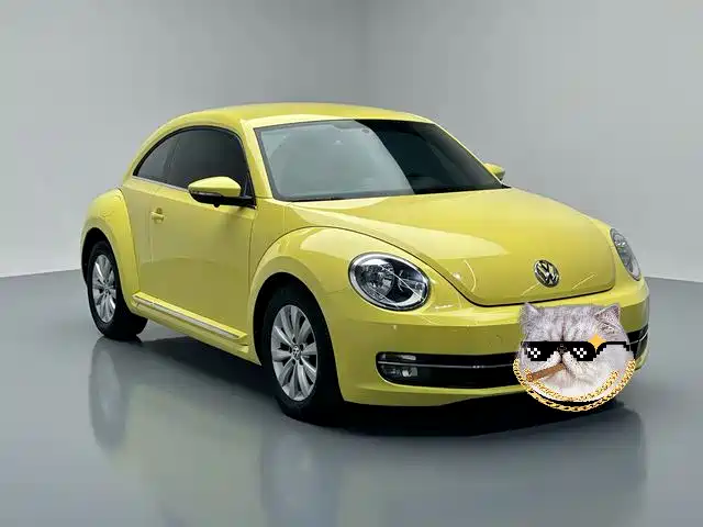 Volkswagen Beetle 2013