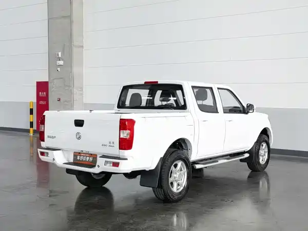 Dongfeng Ruiqi 2022